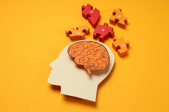 cerebro